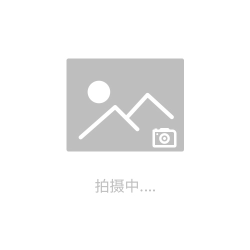 testo925-單通道熱電偶測(cè)溫儀
